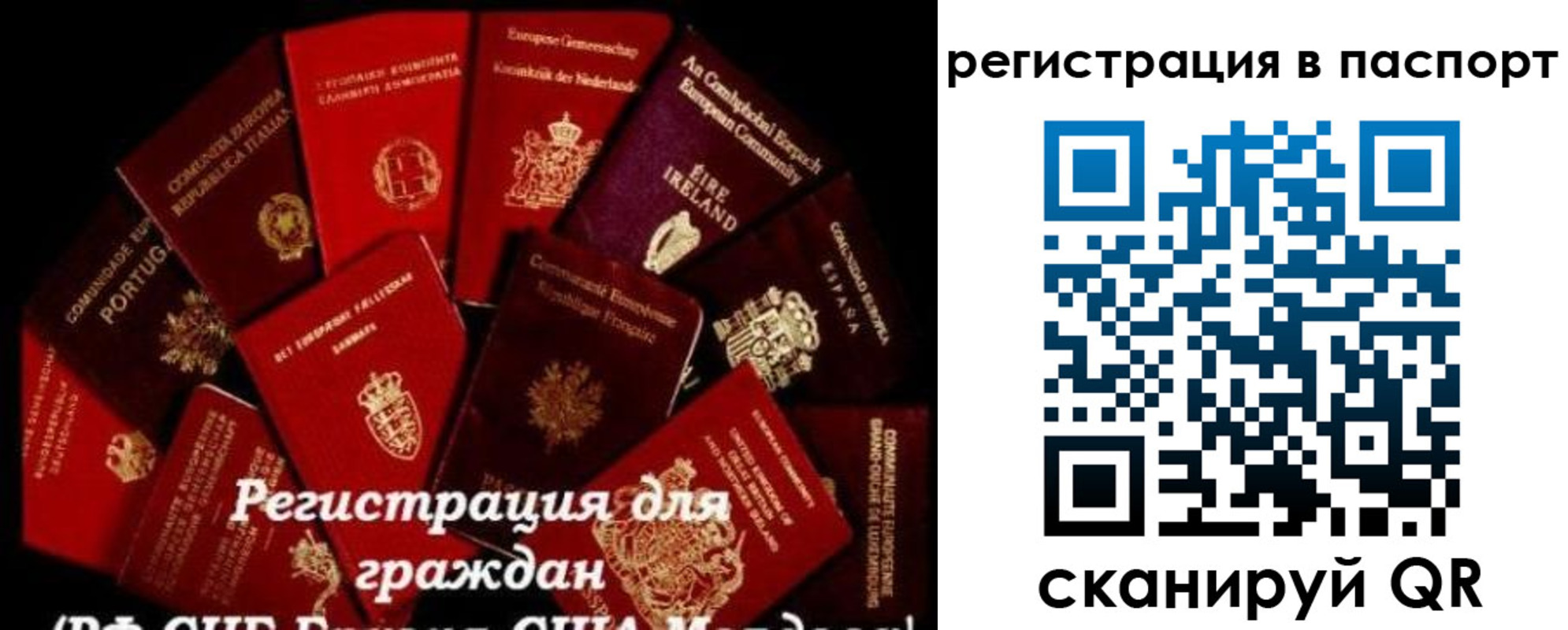 миграционный учет в Псковской области